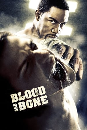 Blood and Bone (2009) Hindi Dual Audio [950MB]