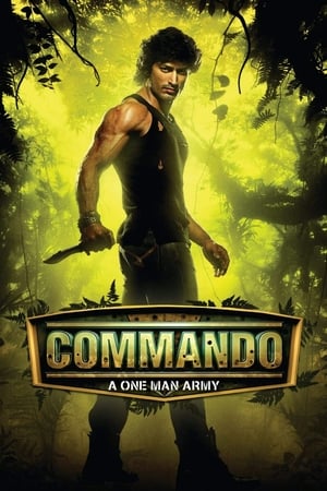 Commando (2013) Hindi [450MB]