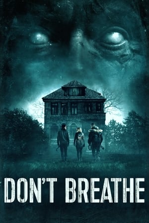 Don't Breathe (2016) Hindi Dual Audio [850MB]