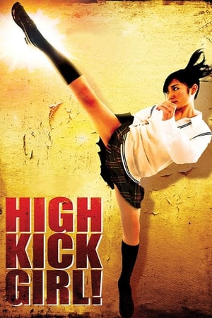 High Kick Girl (2009) 100mb Hindi Dual Audio movie Download