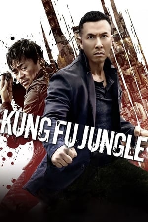 Kung Fu Jungle (2014) Hindi Dual Audio 300MB