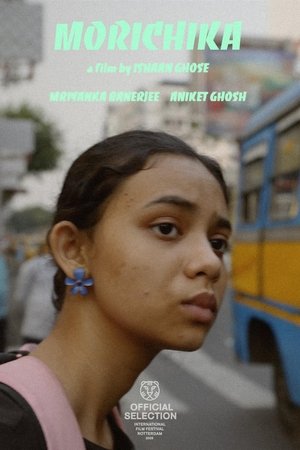 Mirage (2025) Hindi (MULTI AUDIO) – –