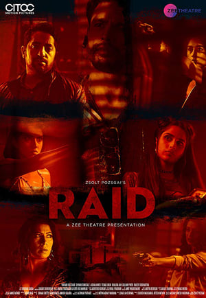 Raid 2019 Hindi Movie [650MB]