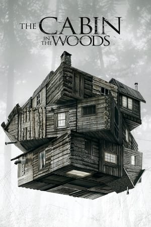 The Cabin in the Woods 2012 Dual Audio Hindi [800MB] ESubs