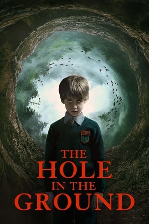 The Hole in the Ground 2019 Hindi Dual Audio [830MB] HD Poster Download - filmyfly