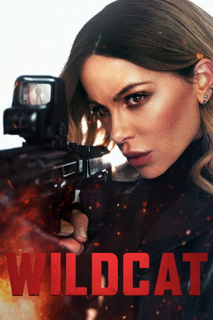 Wildcat (2025) Hindi (MULTI AUDIO) – –