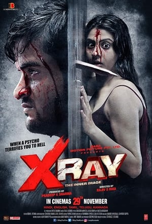 X Ray The Inner Image 2019 Movie - [300MB] HD Poster Download - filmyfly